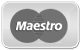 Maestro payment icon